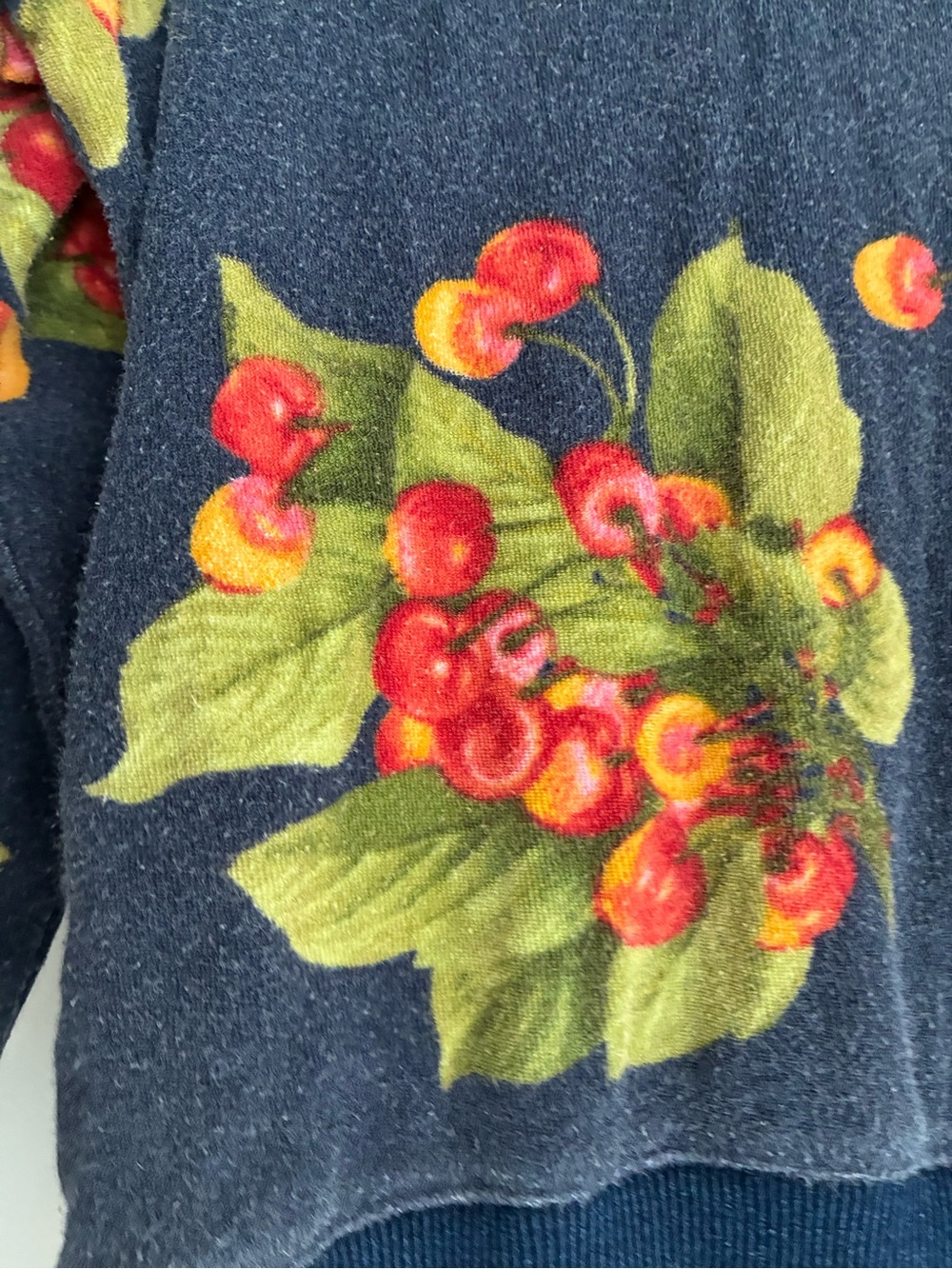 Hippie Beach Cherry Print Navy Cropped Sweatshirt - velour - scoop neck - Picture 6 of 9